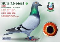 HU16-RD-16663-T