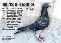 HU-13-D-658894-H---OK--1
