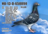 HU-13-D-658894-H---OK--3