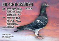 HU-13-D-658894-H---OK--4