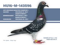 HU-16-M-143596-T---OK