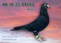 HU10-25-04693-T---OK