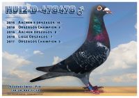 HU12-D-478478-H---OK