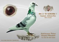 HU-11-D-438386-t---OK