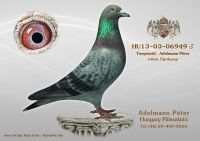HU-13-03-06949-h---OK