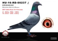 00237-h---OK