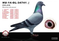 34741-h---OK