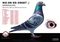 39687-h---OK-j