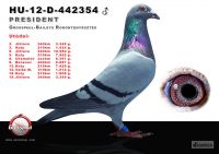 442354-h---OK