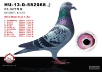 582068-h---OK