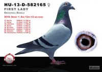 582165-t---OK