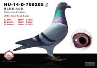 708205-h---OK