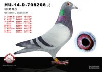 708208-h---OK
