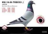 708233-h---OK