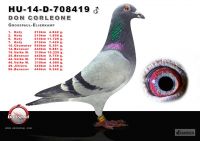 708419-h---OK2