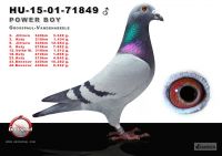 71849-h---OK2