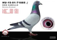 71885-h---OK