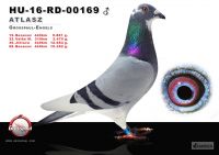 NPL---00169-h---OK3