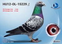 15229---OK_resize