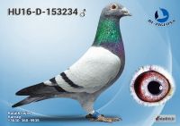 153234---OK_resize