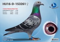 153261---OK_resize