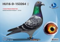 153264---OK2_resize