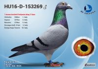 153269---OK2_resize