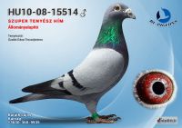 15514---OK4_resize