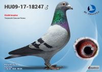 18247---OK_resize