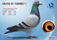 189907---OK2_resize