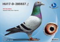 285937---OK_resize
