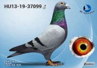 37099---OK_resize