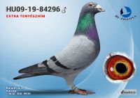 84296---OK_resize