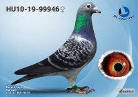 99946---OK_resize