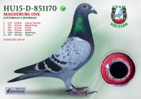 HU15-D-851170-H