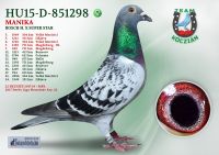 HU15-D-851298-T