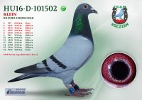HU16-D-101502-H