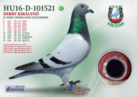 HU16-D-101521-T