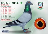 HU16-D-101530-T