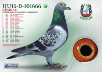HU16-D-101666-H