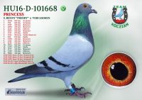 HU16-D-101668-T