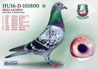 HU16-D-101800-T
