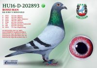 HU16-D-202893-H