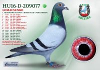 HU16-D-209077-H