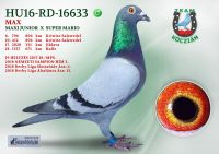 HU16-RD-16633-H