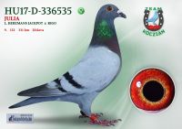 HU17-D-336535-T
