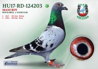 HU17-RD-124203-T