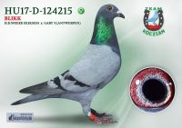 HU17-RD-124215-T