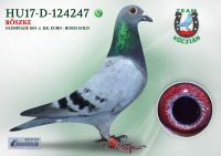 HU17-RD-124247-T