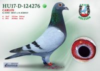 HU17-RD-124276-H